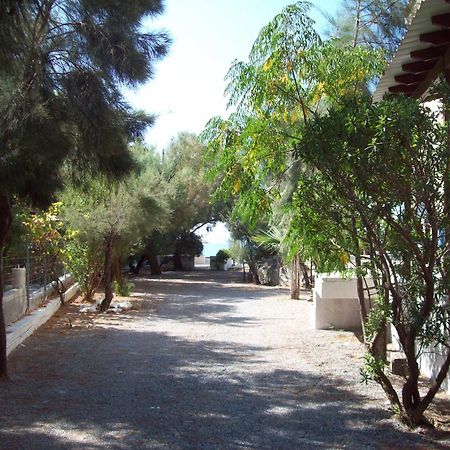 Oasis Studios Ψιλή Άμμος Εξωτερικό φωτογραφία