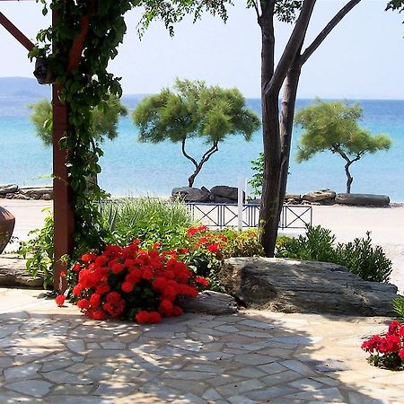Oasis Studios Ψιλή Άμμος Δωμάτιο φωτογραφία