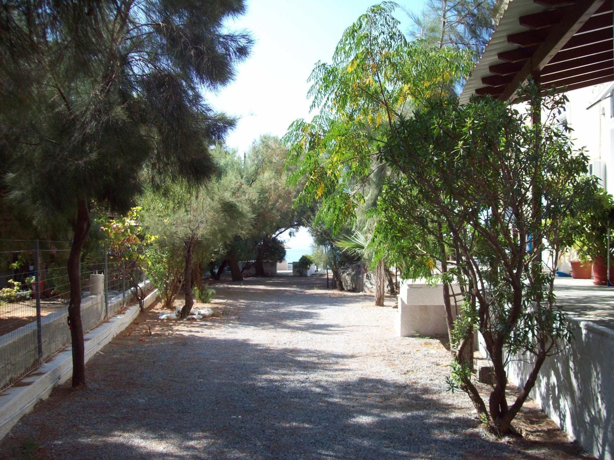 Oasis Studios Ψιλή Άμμος Εξωτερικό φωτογραφία