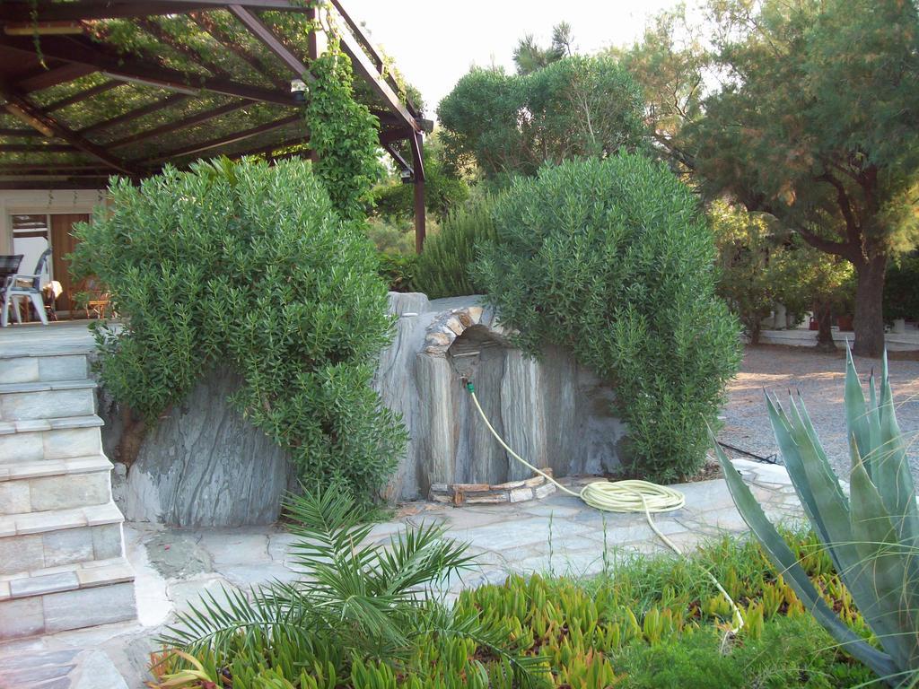Oasis Studios Ψιλή Άμμος Εξωτερικό φωτογραφία