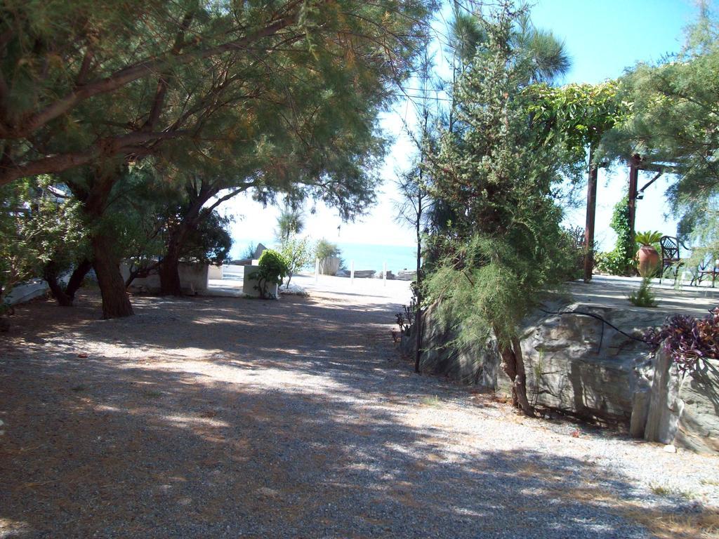 Oasis Studios Ψιλή Άμμος Εξωτερικό φωτογραφία