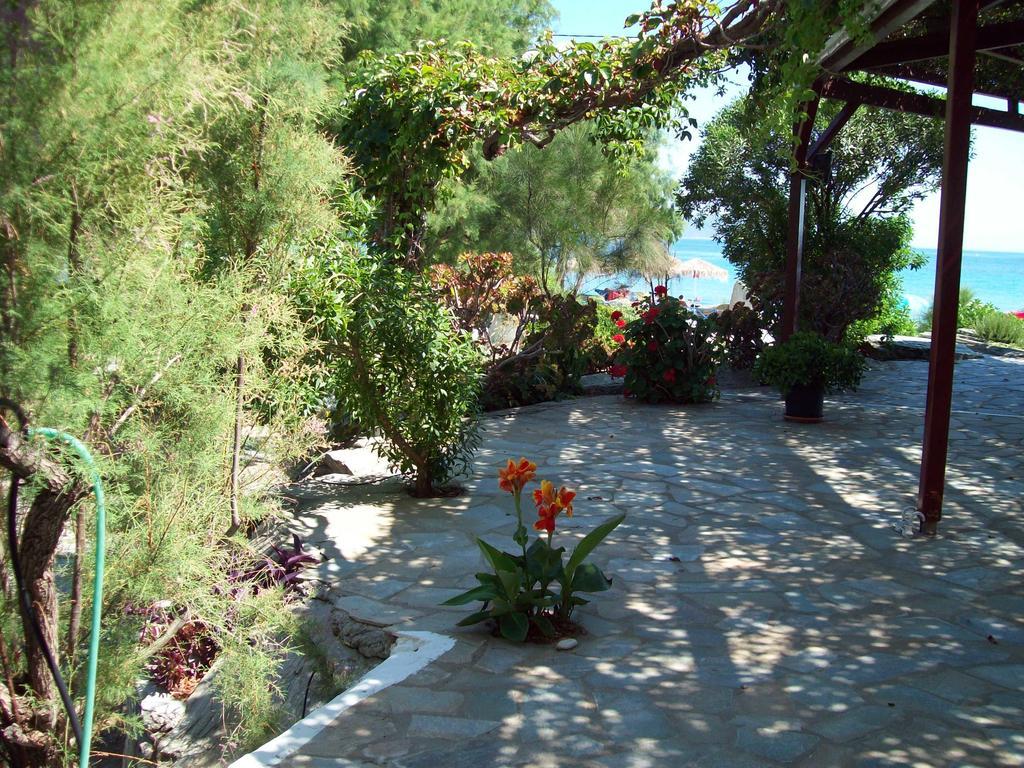 Oasis Studios Ψιλή Άμμος Εξωτερικό φωτογραφία
