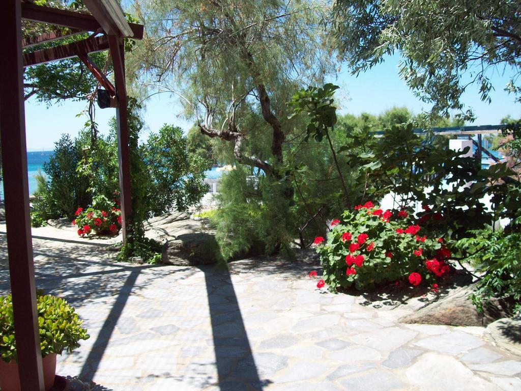 Oasis Studios Ψιλή Άμμος Εξωτερικό φωτογραφία