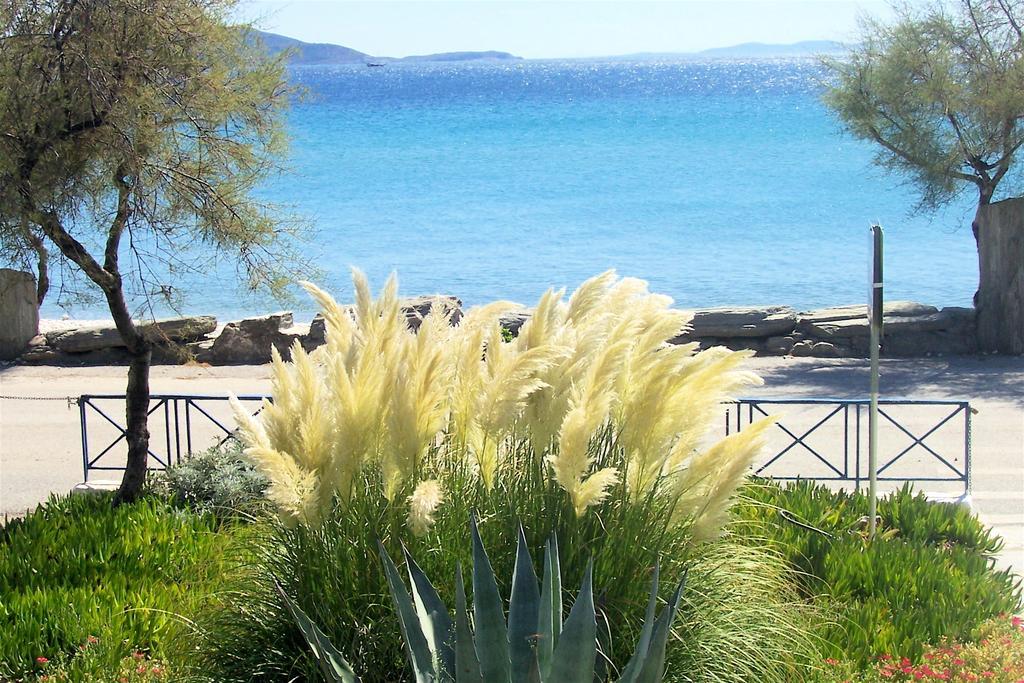 Oasis Studios Ψιλή Άμμος Δωμάτιο φωτογραφία