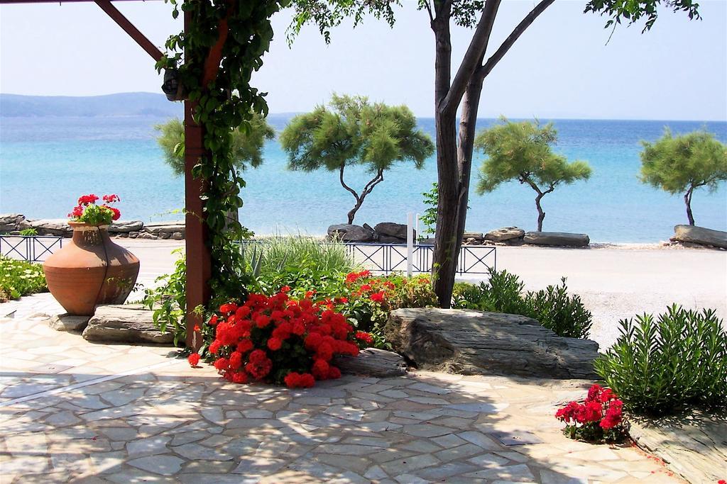 Oasis Studios Ψιλή Άμμος Δωμάτιο φωτογραφία
